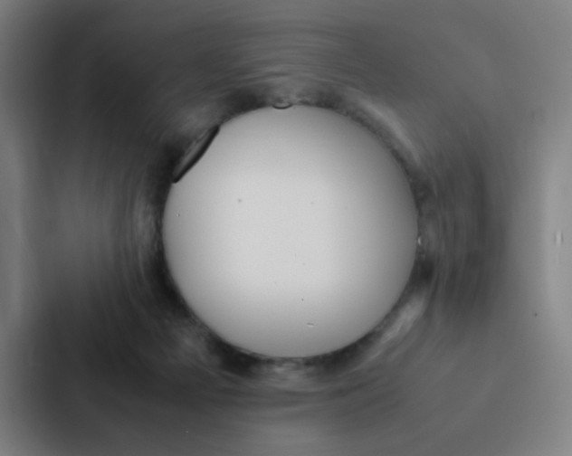 X0000087330121200705112204