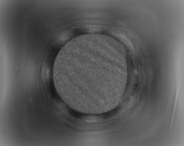 X0000087330123200705112204
