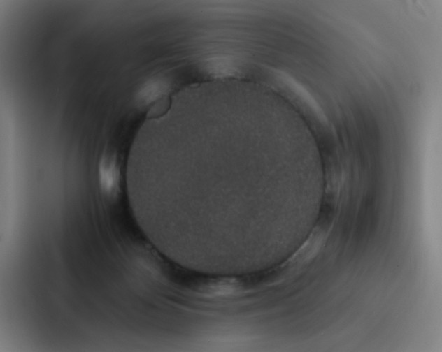 X0000087330124200705112204