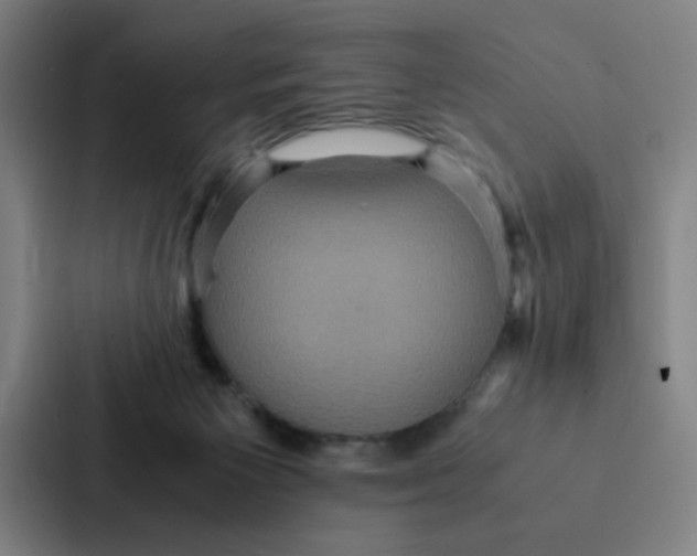 X0000087330125200705112204
