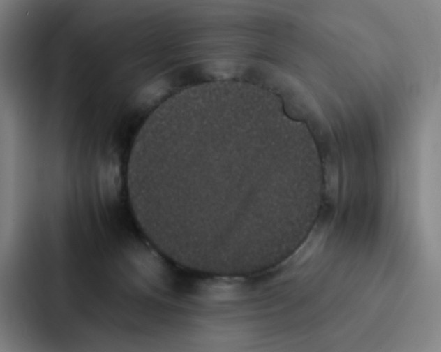 X0000087330128200705112204