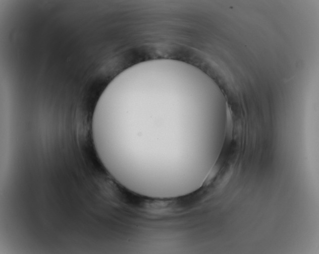 X0000087330129200705112204