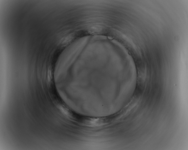 X0000087330130200705112204