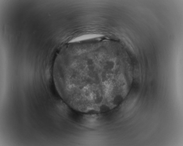 X0000087330131200705112204