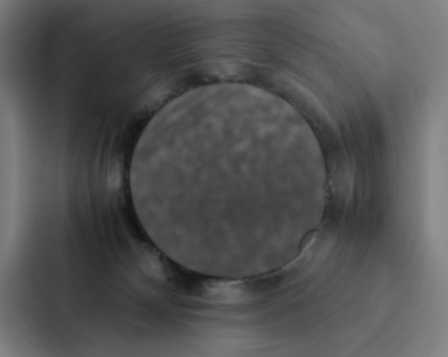 X0000087330132200705112204