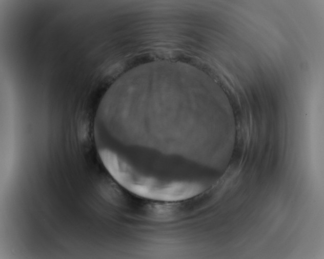 X0000087330134200705112204
