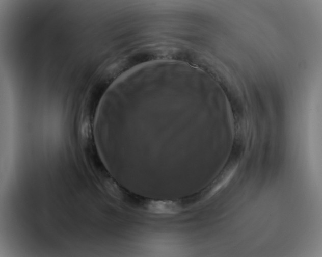 X0000087330137200705112204