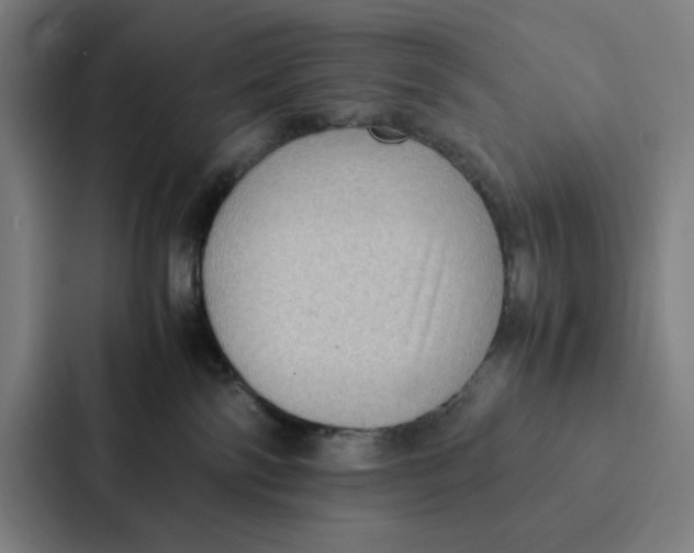 X0000087330138200705112204