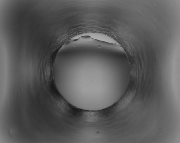 X0000087330139200705112204