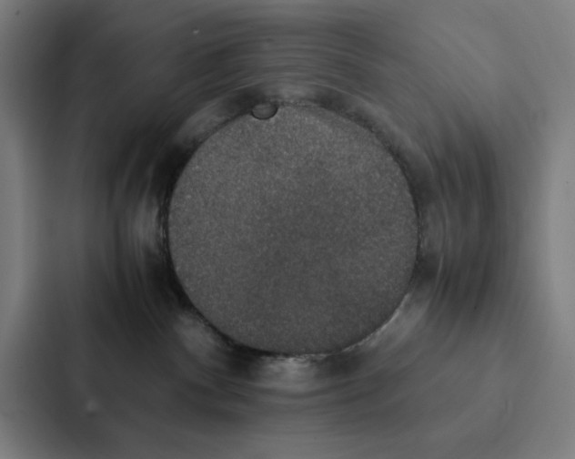 X0000087330140200705112204