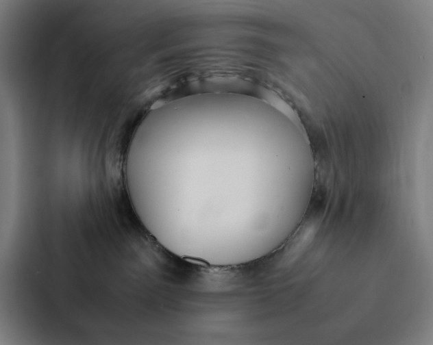 X0000087330141200705112204