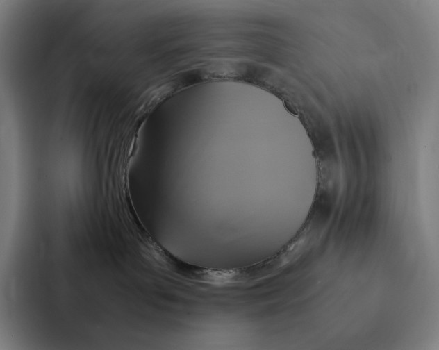 X0000087330143200705112204