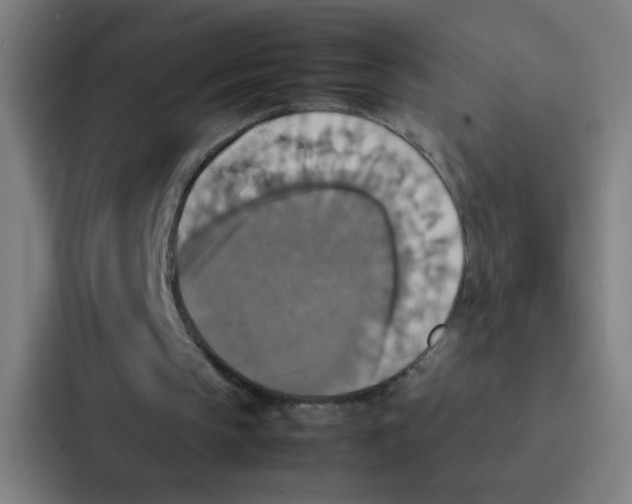 X0000087330145200705112203
