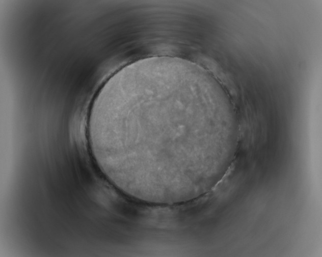 X0000087330146200705112203