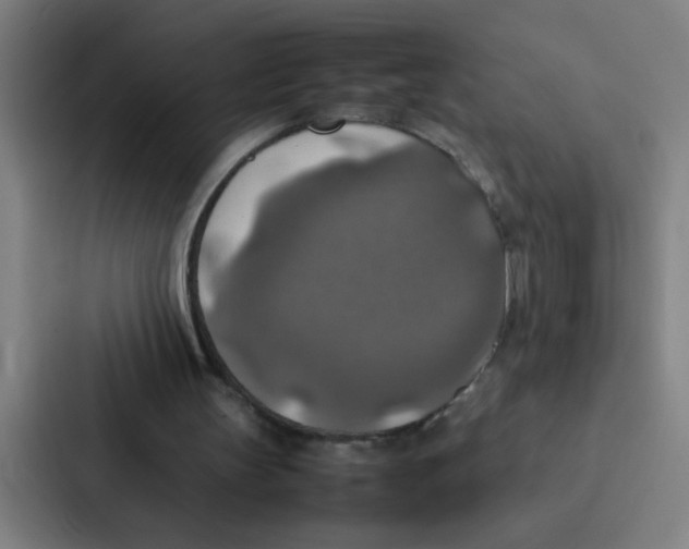 X0000087330147200705112203