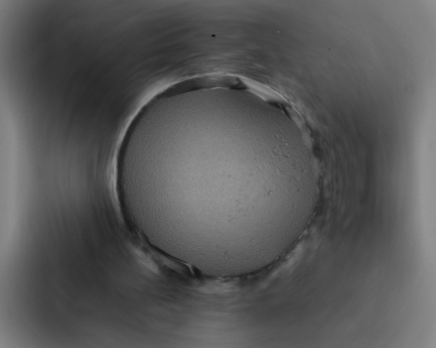 X0000087330148200705112204