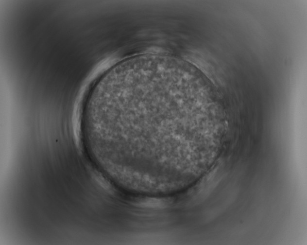 X0000087330149200705112204