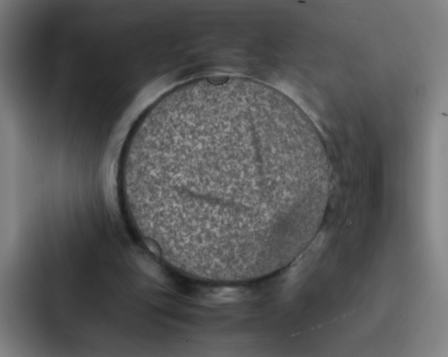 X0000087330151200705112204