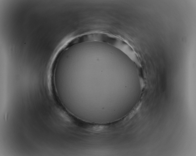 X0000087330152200705112204