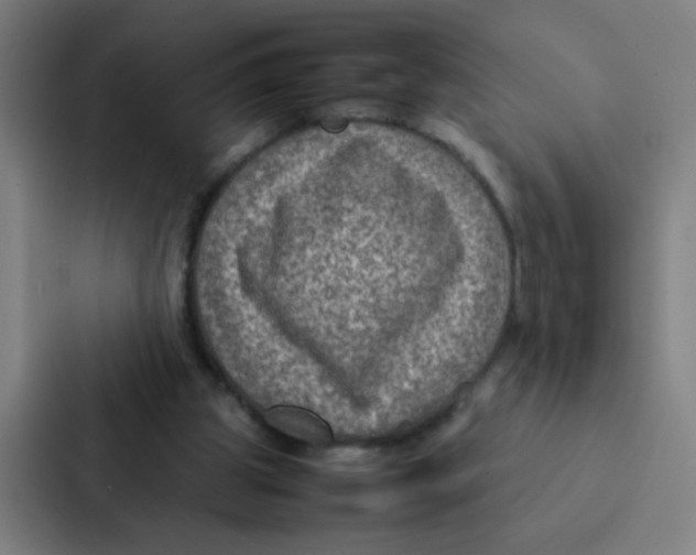 X0000087330153200705112204