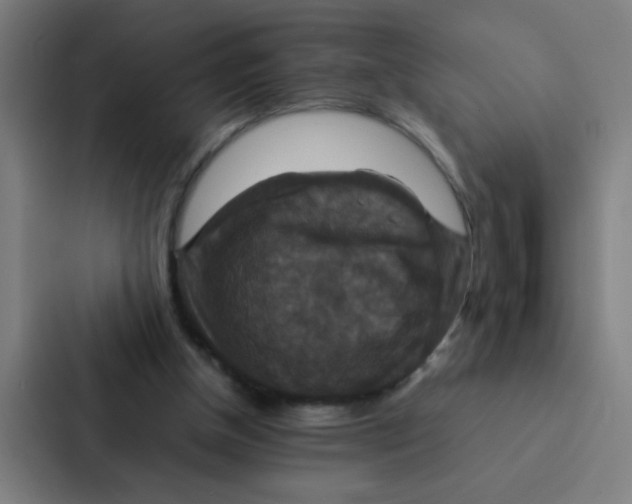 X0000087330154200705112204