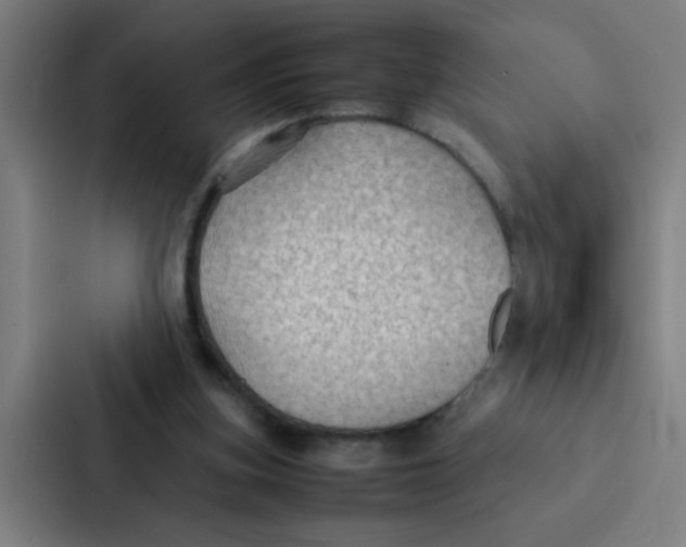 X0000087330155200705112204