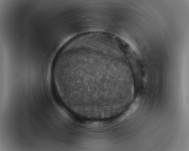X0000087330156200705112204