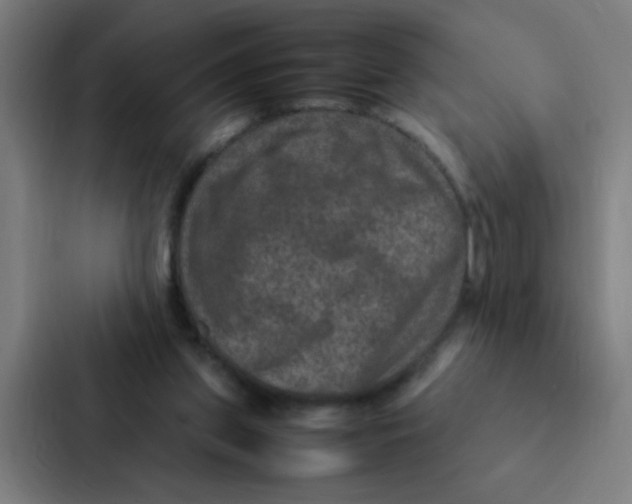 X0000087330157200705112204