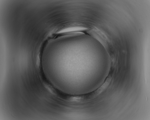 X0000087330158200705112204