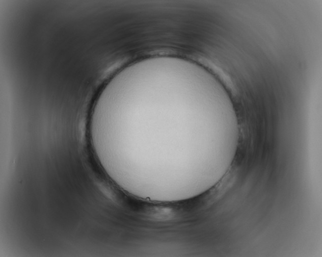 X0000087330159200705112204