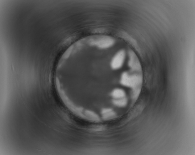 X0000087330161200705112204