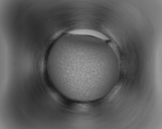 X0000087330164200705112204