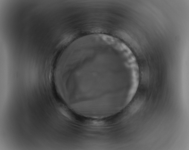 X0000087330165200705112204