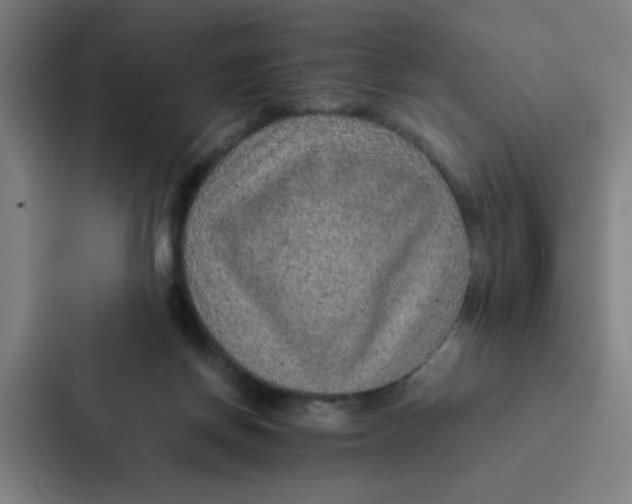 X0000087330166200705112204