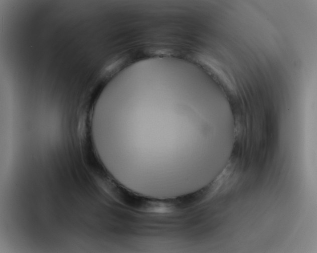 X0000087330167200705112204