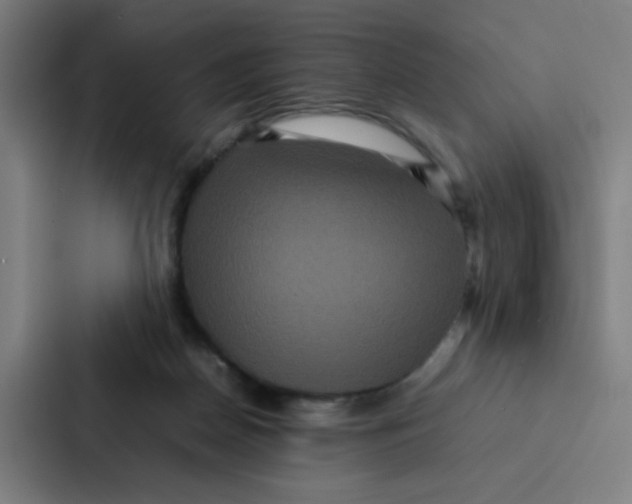 X0000087330170200705112204