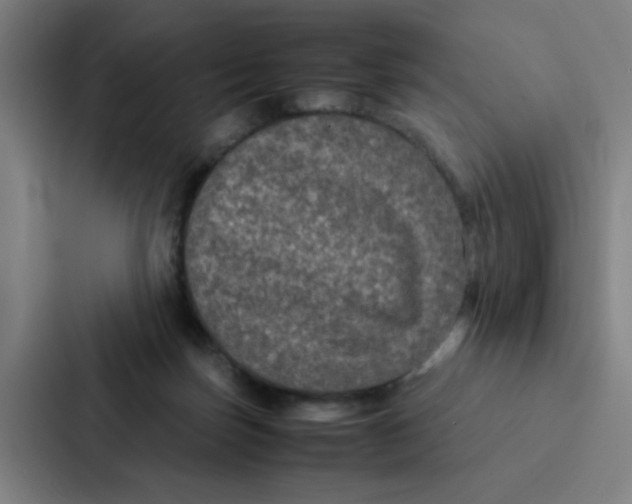X0000087330171200705112204