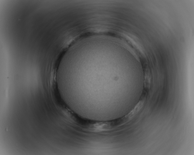 X0000087330172200705112204
