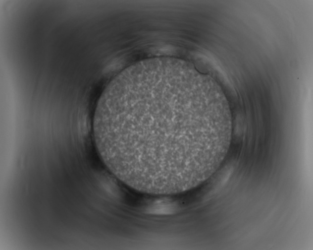 X0000087330173200705112204