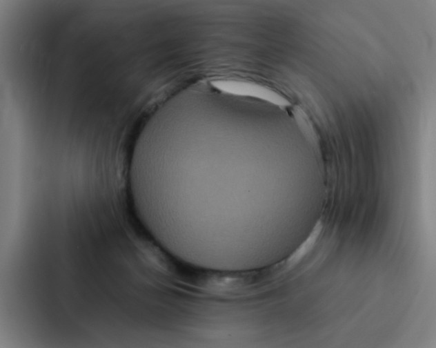X0000087330174200705112204