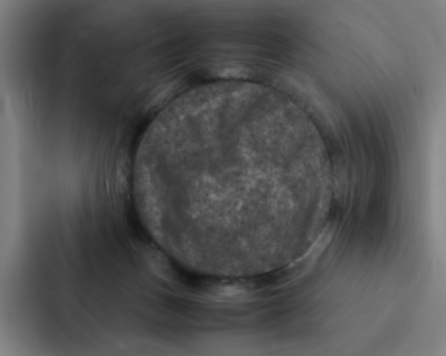 X0000087330175200705112204