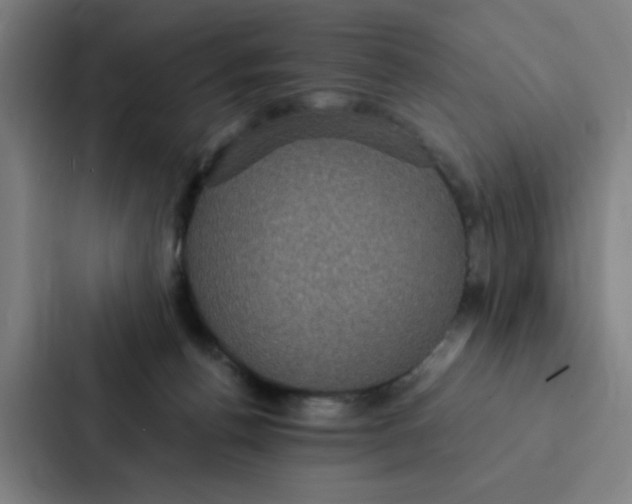 X0000087330176200705112204
