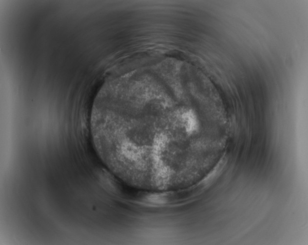 X0000087330178200705112204