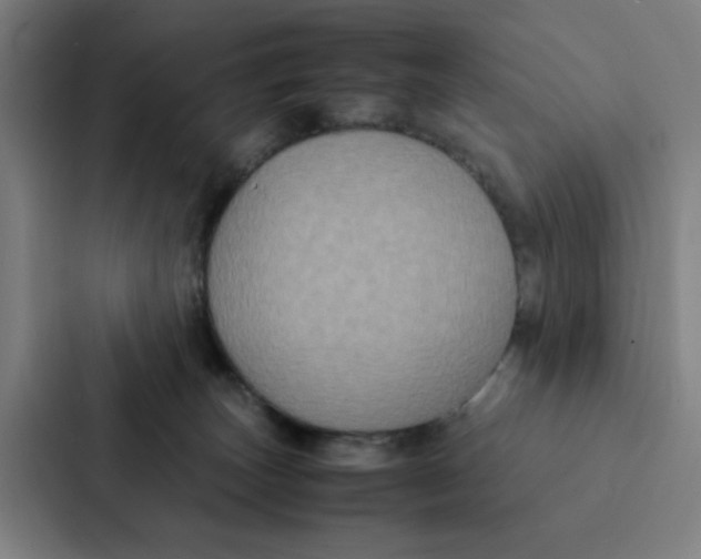 X0000087330179200705112204