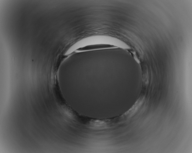 X0000087330180200705112204