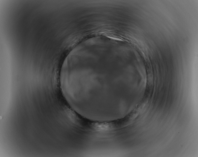X0000087330181200705112204
