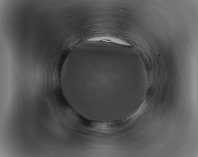X0000087330182200705112204