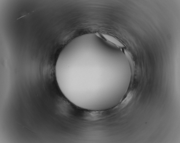 X0000087330184200705112204