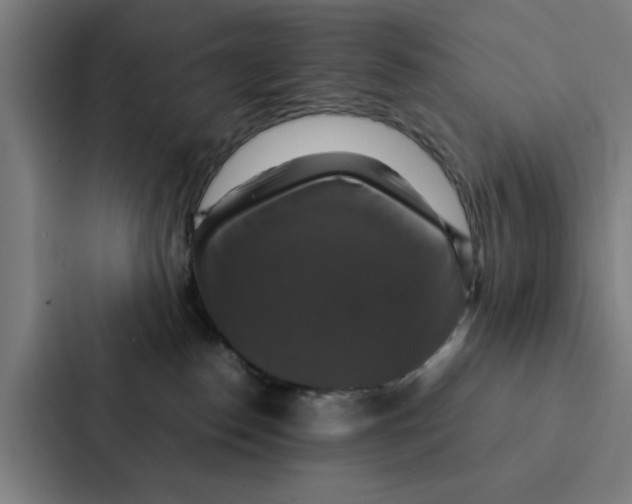X0000087330186200705112204