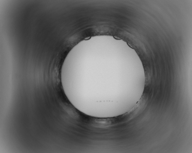 X0000087330187200705112204